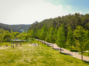 통영 가볼만한 곳 통영 RCE세자트라숲
