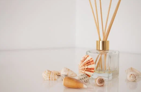 아로마테라피스트 자격증 국내 국제 자격증 알아보기