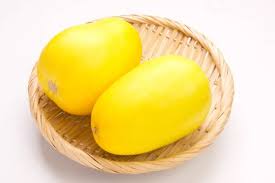 망고참외 관려사진