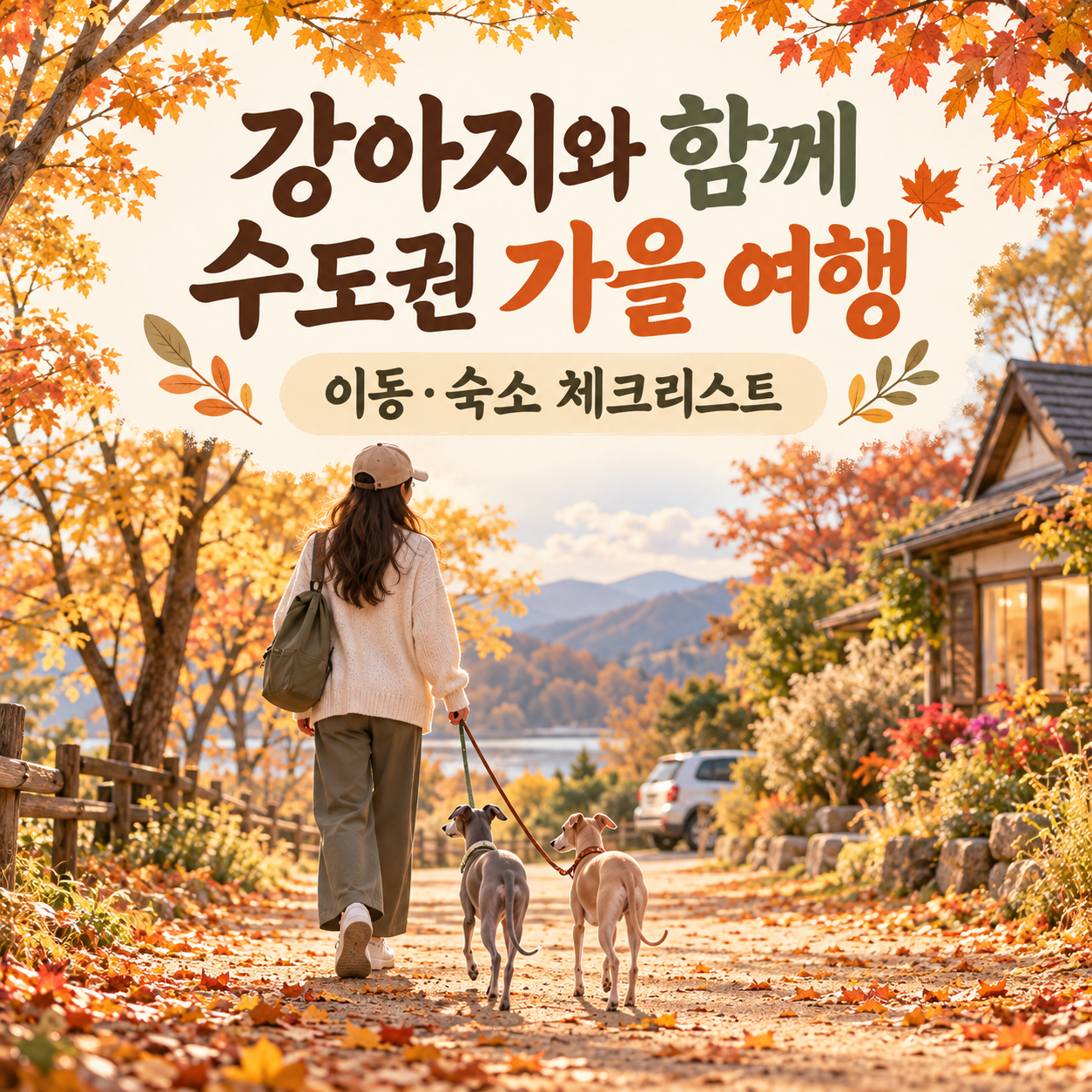 강아지와 함께 가는 수도권 가을 여행, 이동·숙소 체크리스트