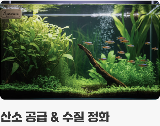 수초, 최고의 '놀이터'이자 '안식처'