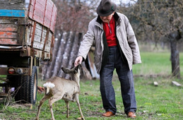 60대-할수-있는-직업