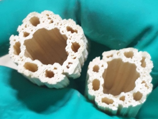 6시내고향-담양-쌀엿-모녀삼대쌀엿