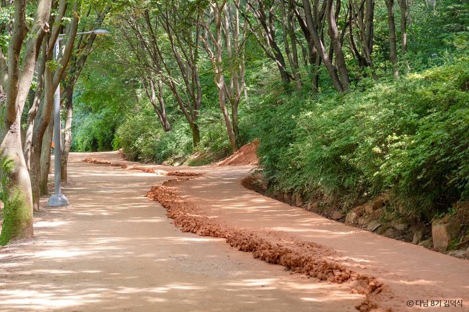 계족산 황톳길의 매력 대전 힐링과 건강 다 챙기는 여행