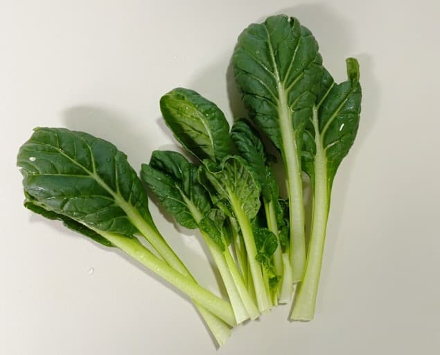 옥상텃밭 비타민 재배