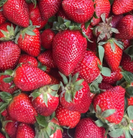 녹내장에 좋은 음식 영양제 식단