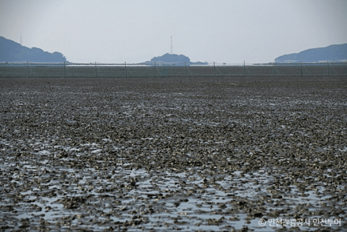 동막해변 (강화군)