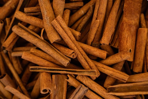 계피-벌레-퇴치-5