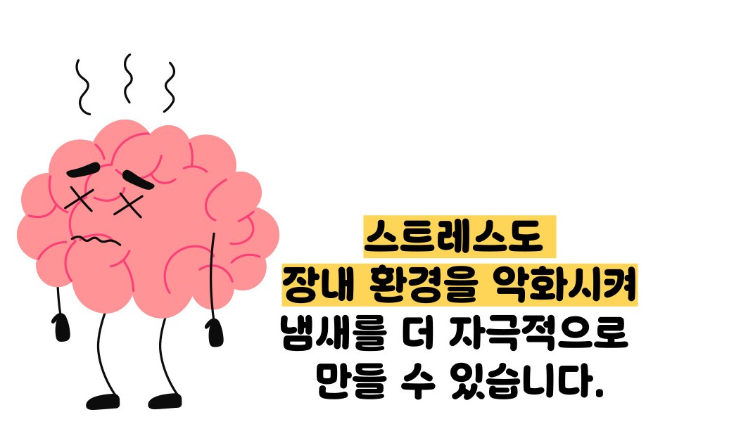 방귀 냄새가 심한 이유