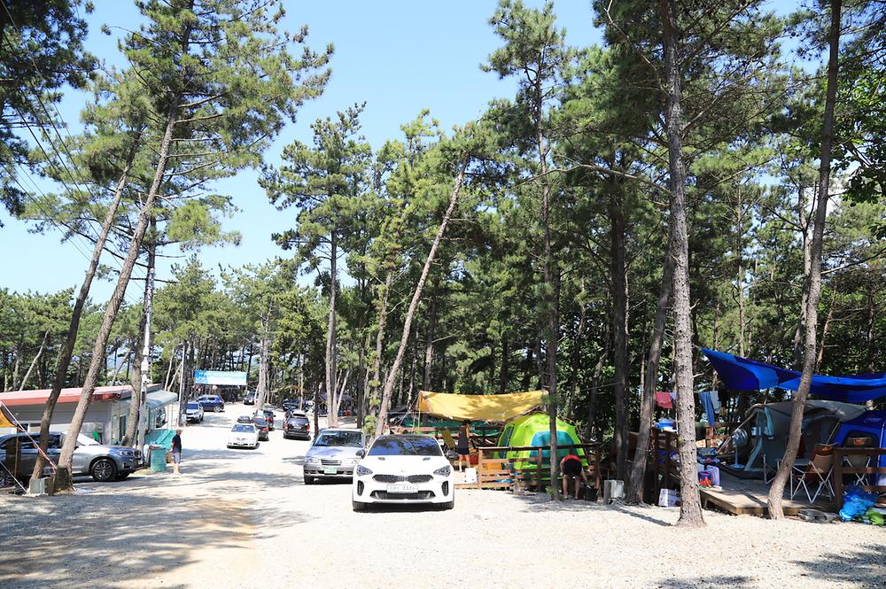 인천 트리캠핑장 소개