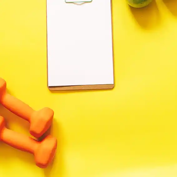 푸룰란의 장내 점성 섬유 작용과 체중 유지