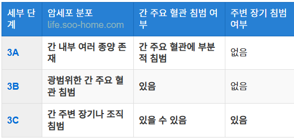 간암 3기의 정의와 특징