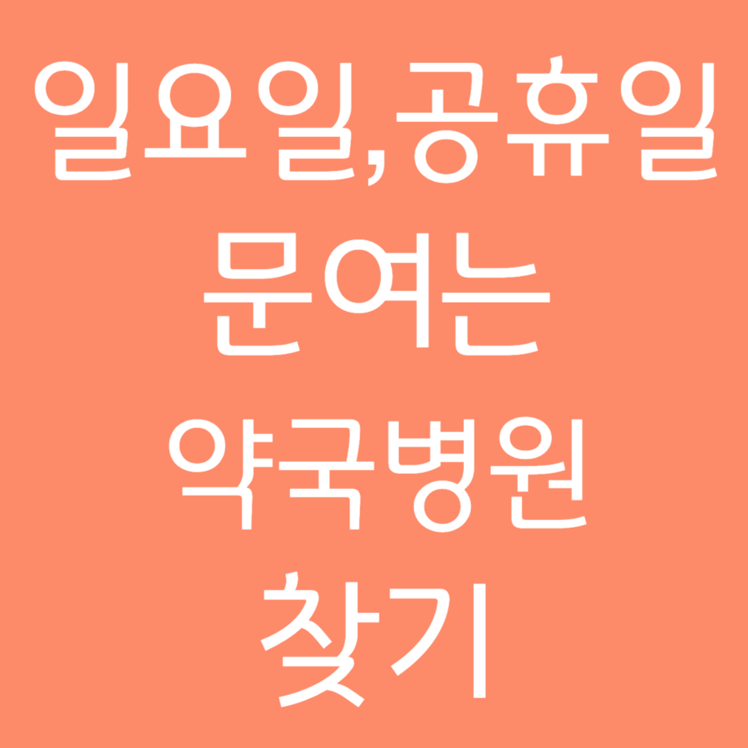 일요일 공휴일 문여는 약국병원 찾기