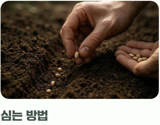 흙과 씨앗, 가장 설레는 첫 만남