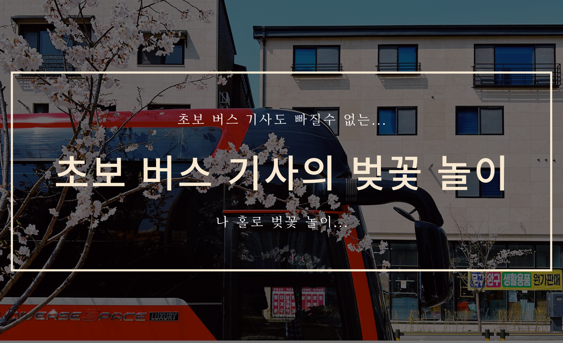 초보 버스 기사 커버