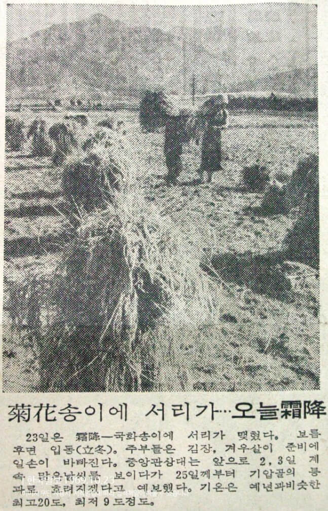 상강(霜降)의 의미와 유래[서리가 내린다]