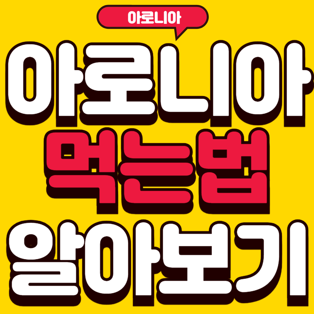 아로니아먹는법