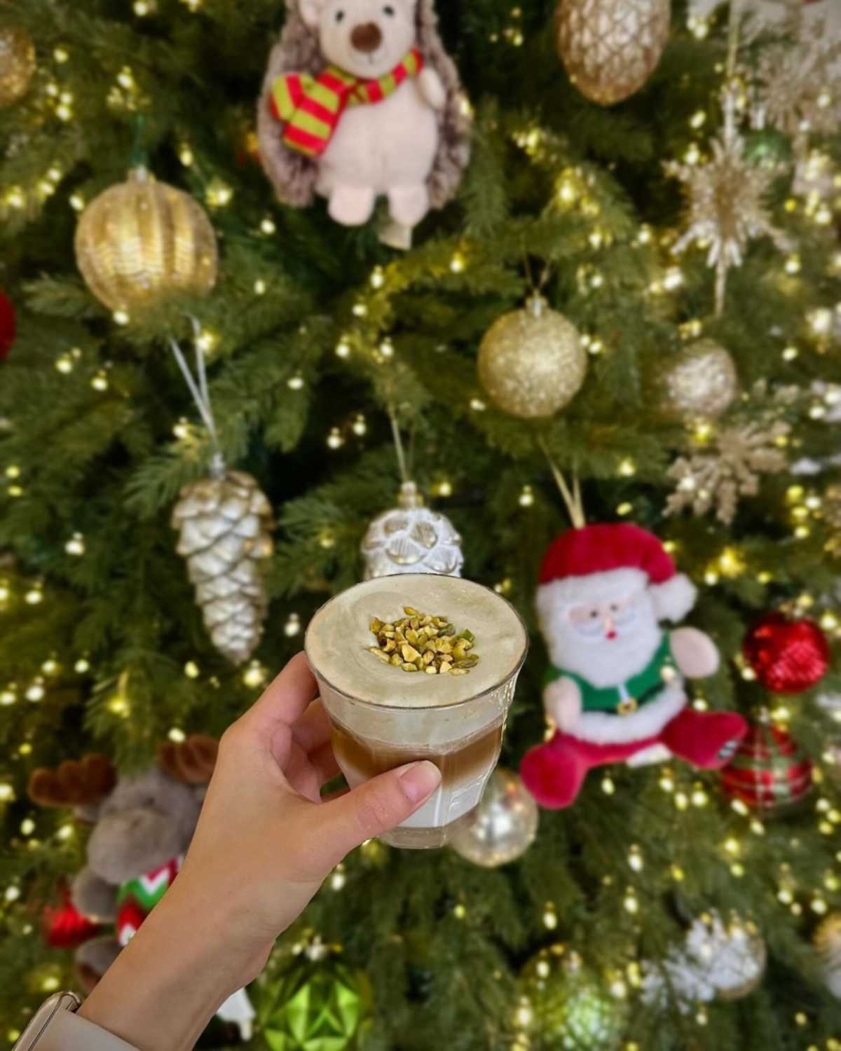 설산뷰 카페 TOP 5 (스멜츠)