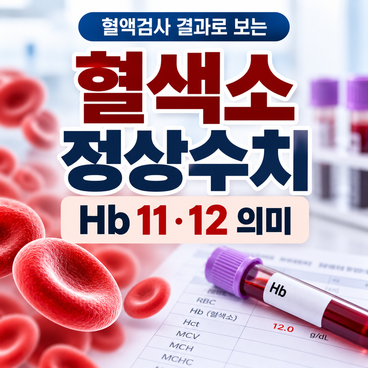혈색소 정상수치와 Hb 11 12 의미