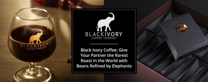 [커피비교] 세계에서 가장 비싼 커피 - 블랙 아이보리
