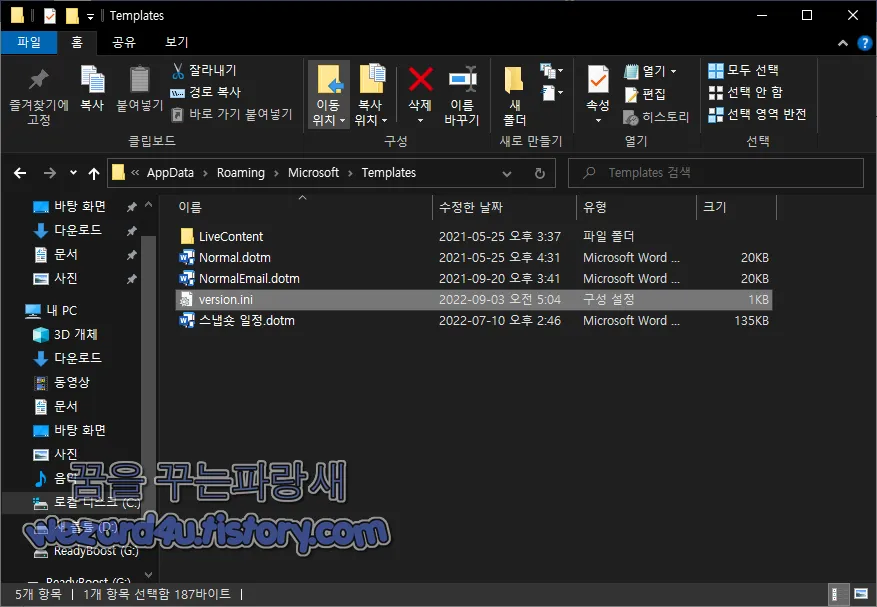 version.ini 파일 생성