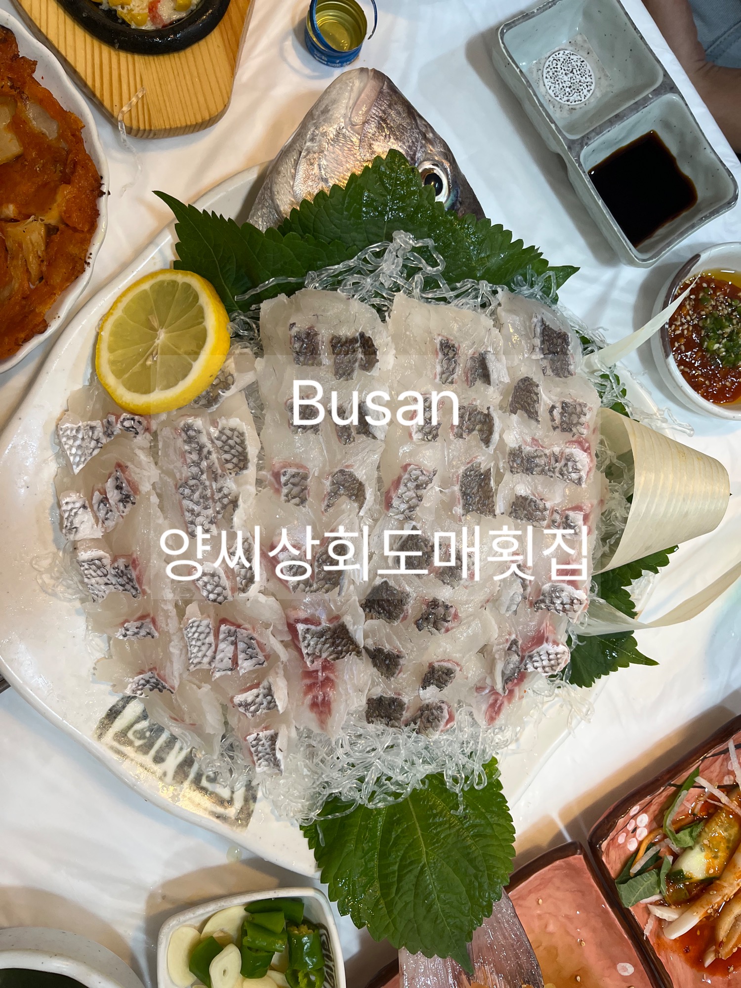 <img src=
