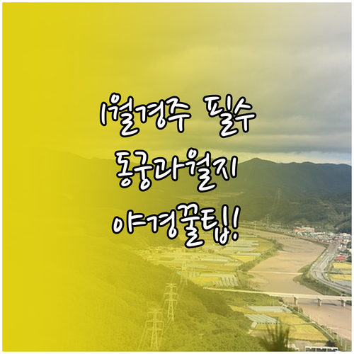 1월 경주 여행 필수 코스 동궁과 월..