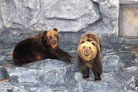 대전 가볼 만한 곳