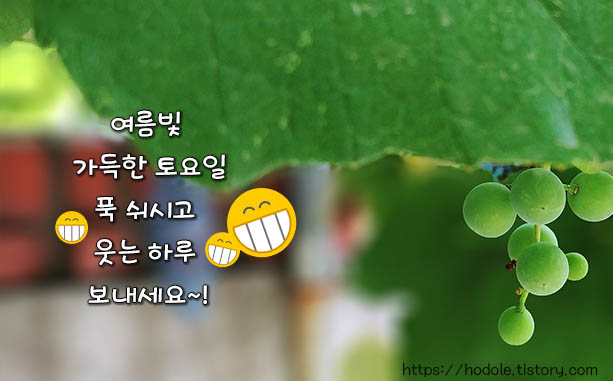 토요일엔 행운이