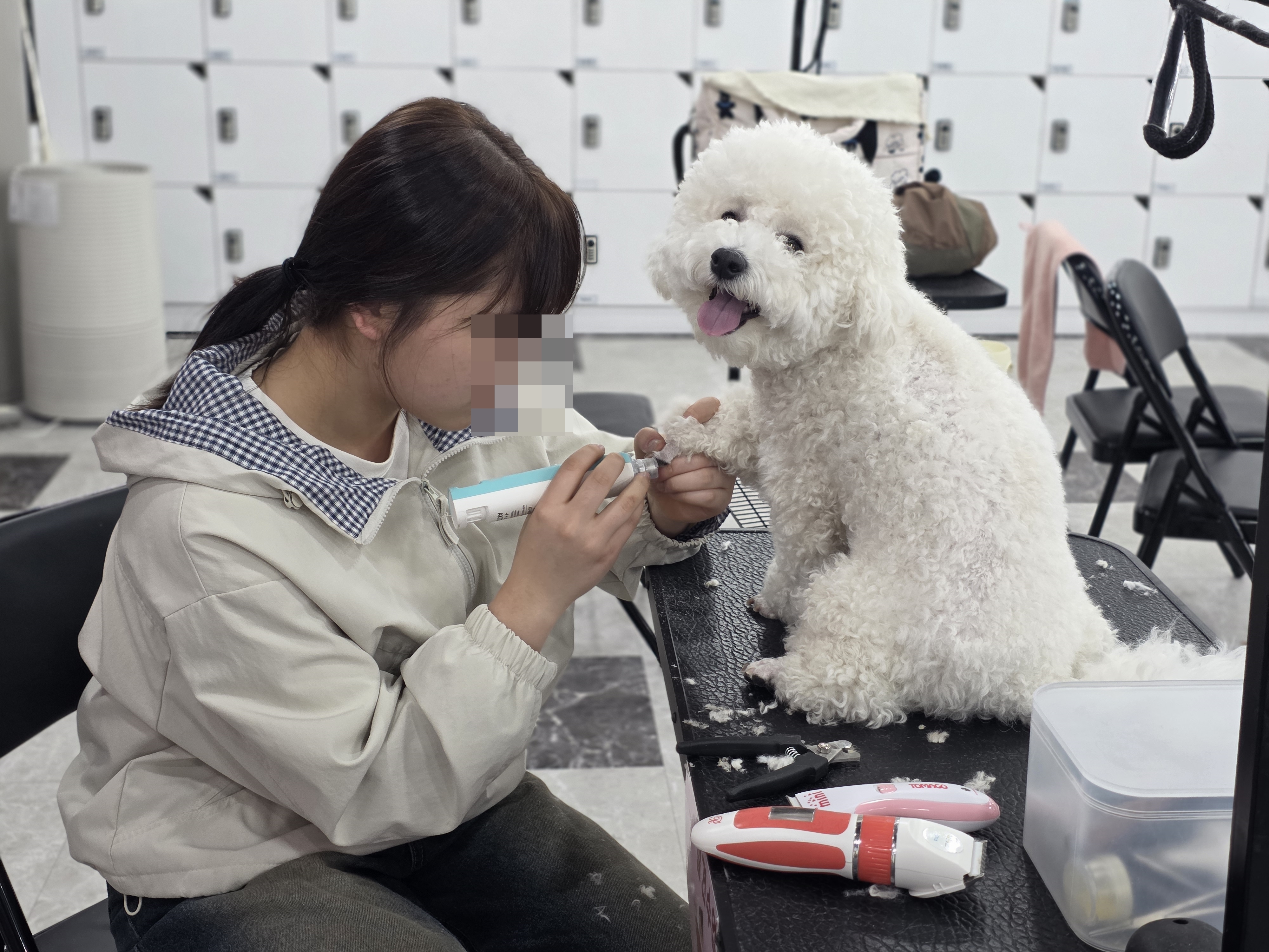 수내애견미용학원 국비지원