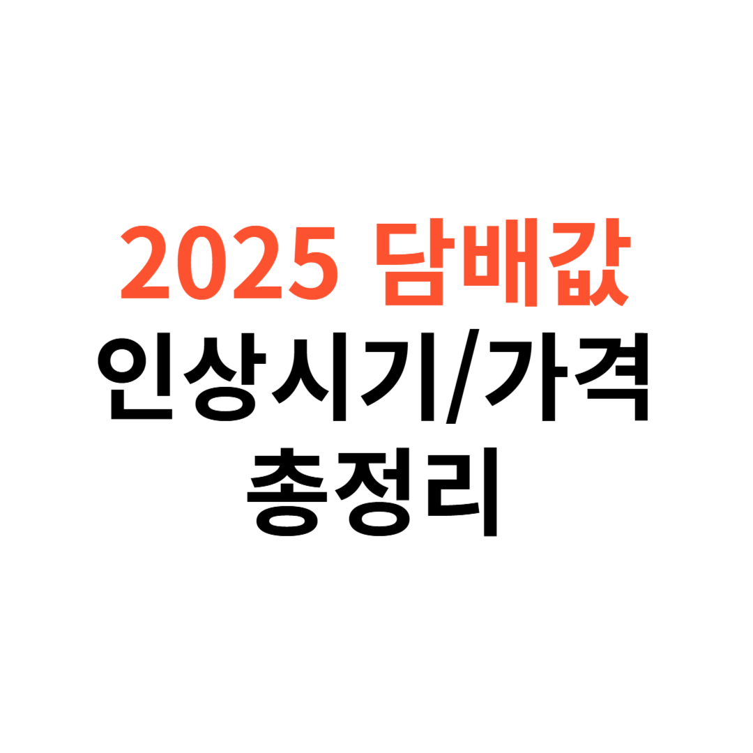 2025년 담배값