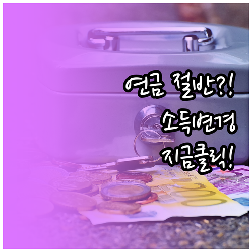 국민연금 보험료 줄이는 소득변경 신고..