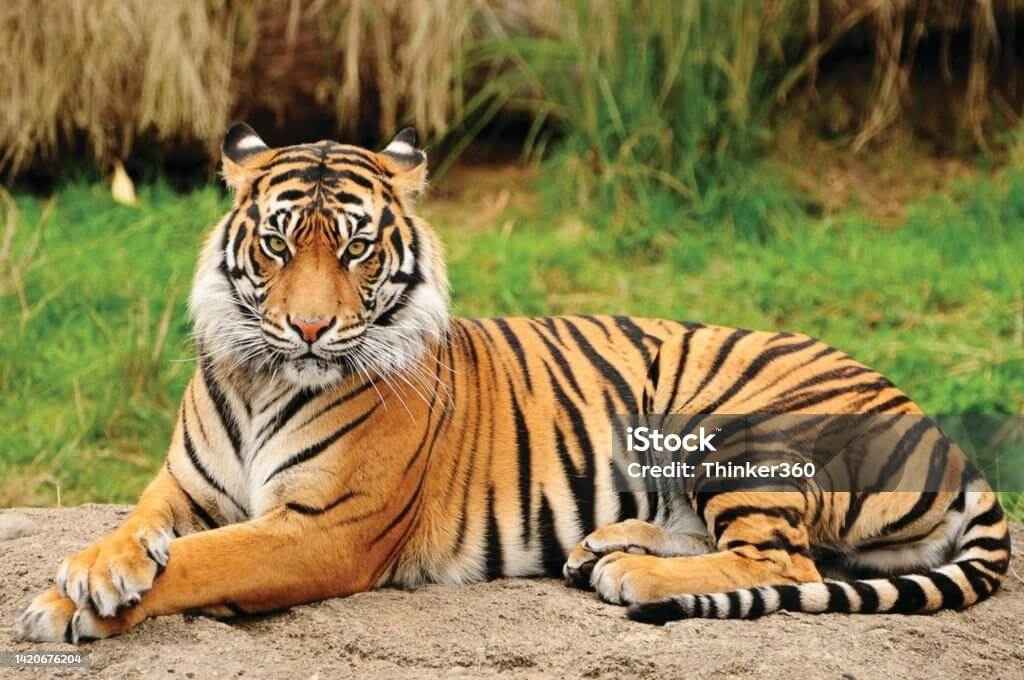 자동차등록하기