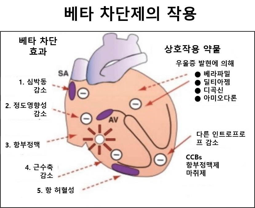 고혈압