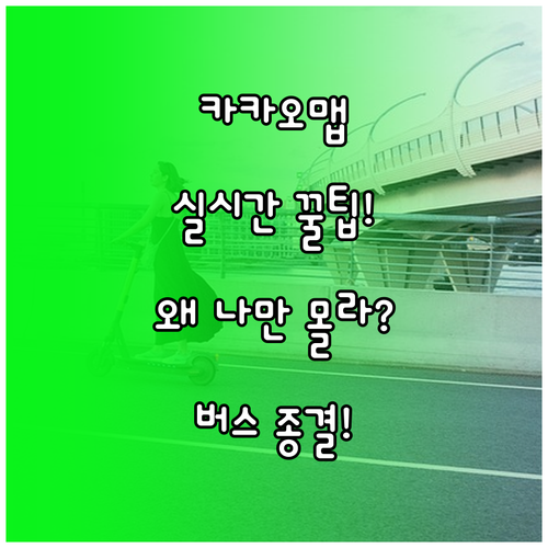 카카오맵 실시간 버스 도착 시간 확인..