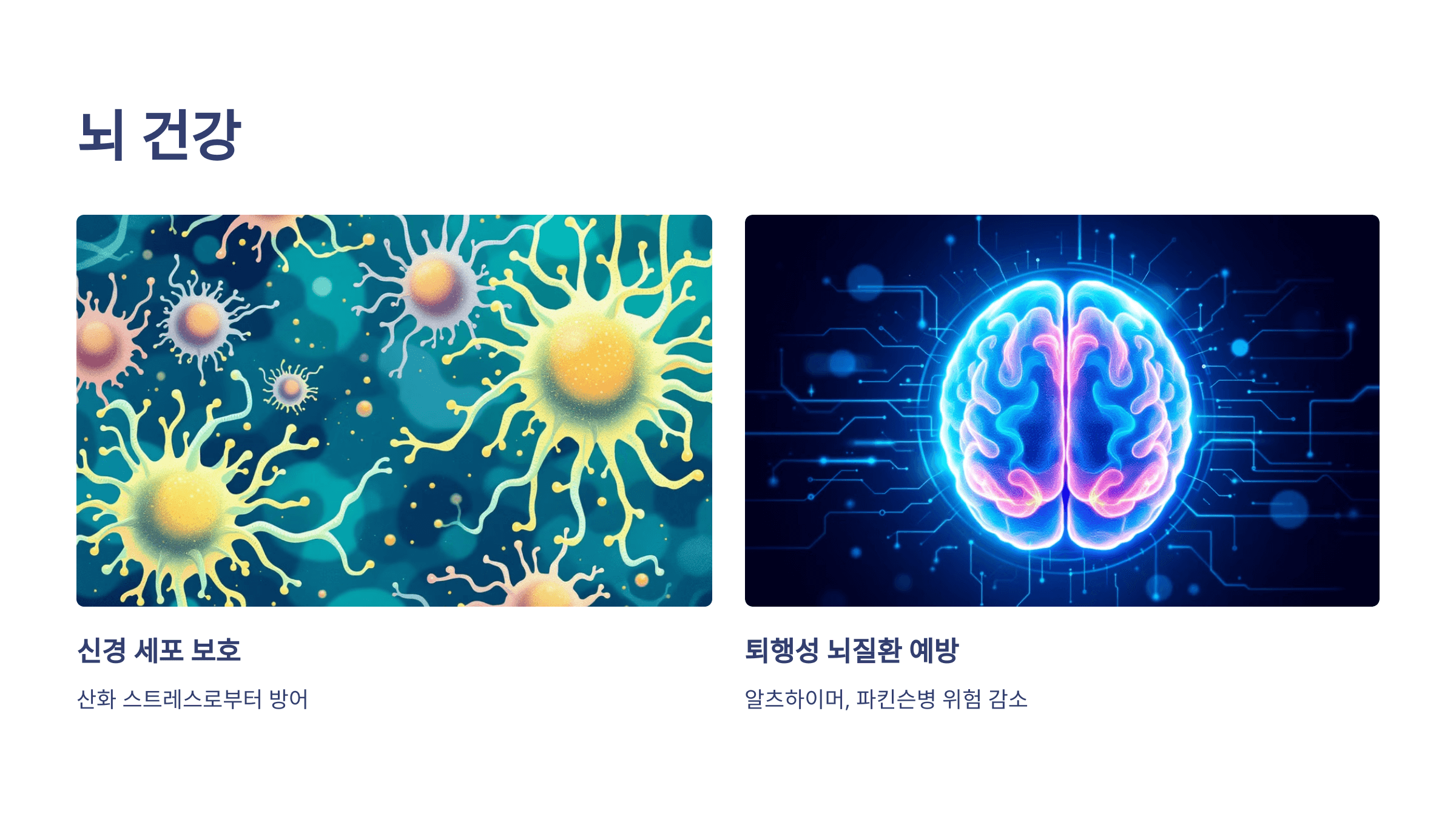 글루타치온과 관련된 사진입니다.