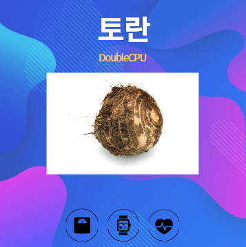 토란 알아보기