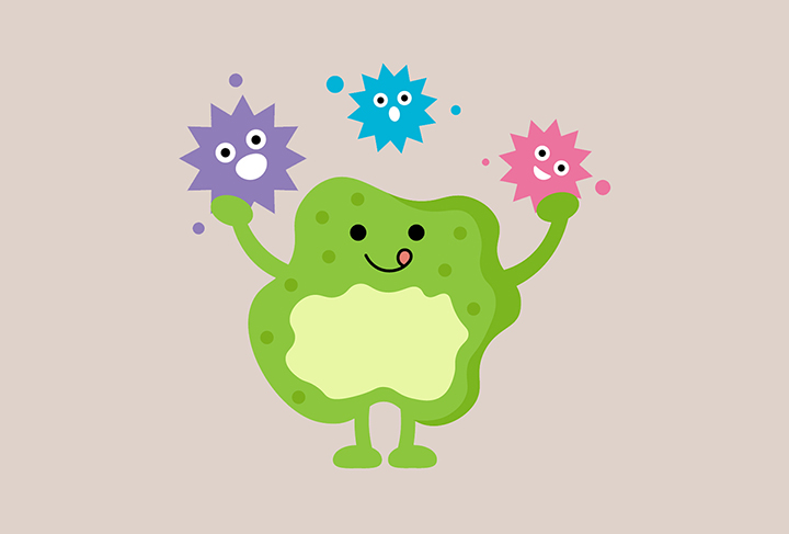 질병과-싸우는-면역세포