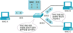 MAC 플루딩