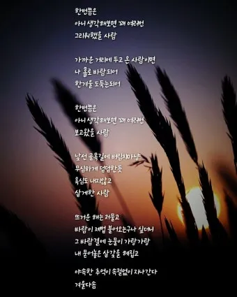 추억에 관한 시모음 세월 추억에 대한 명언 추억에 대한 시로_16