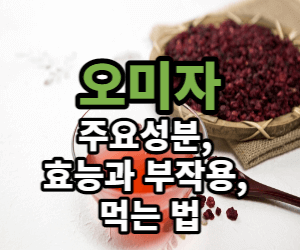 오미자