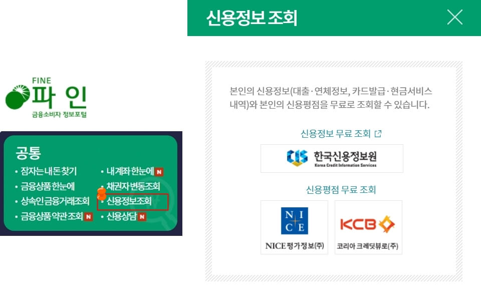 금융소비자 정보포털