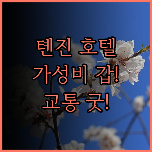 톈진 루이다 춘톈 부티크 호텔 완벽 