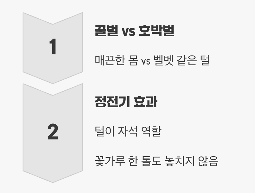털북숭이 몸, 최고의 꽃가루 수집가