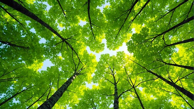 스마트 농업의 환경적 이점 : 농업의 지속 가능한 미래