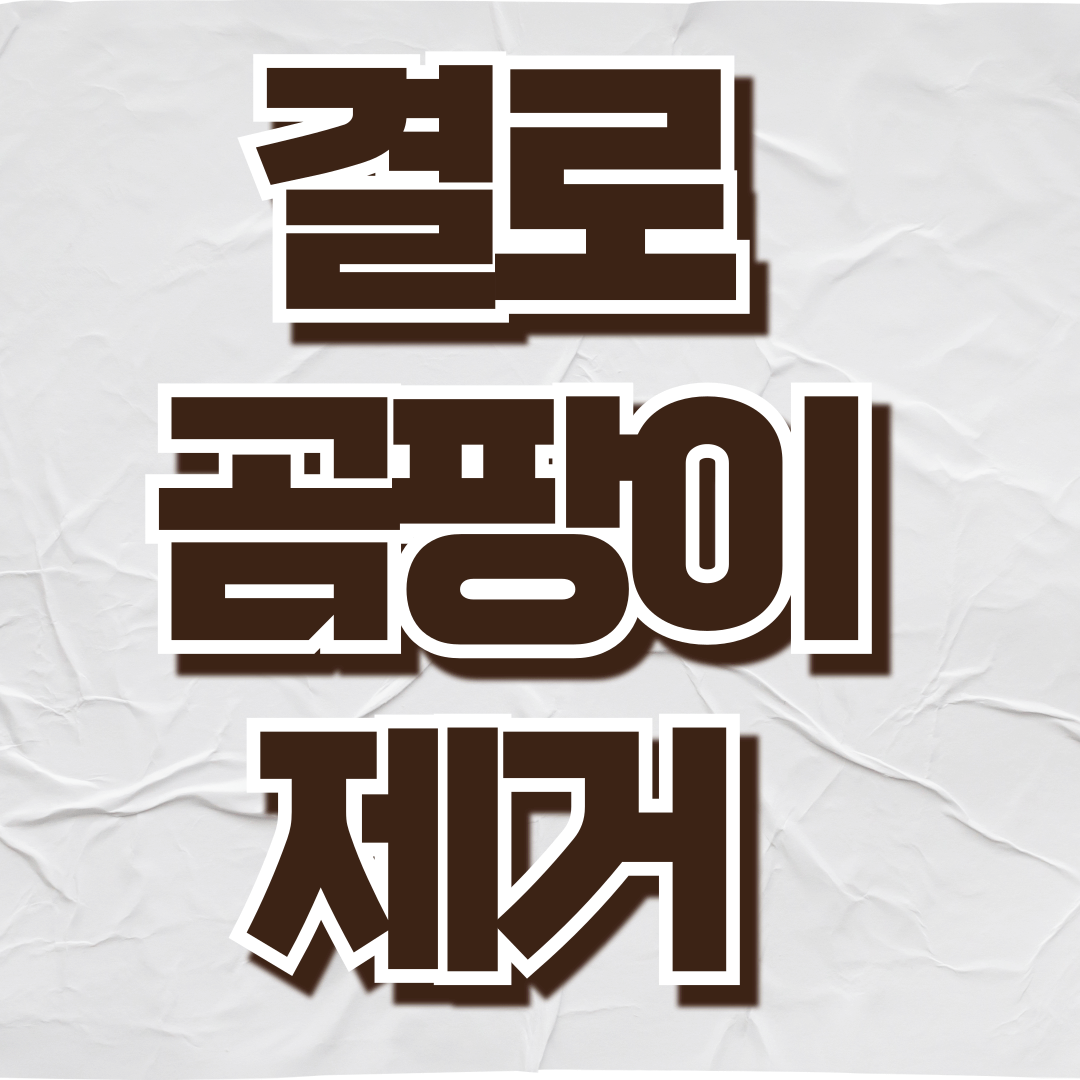 결로 곰팡이 제거