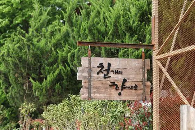 천개의향나무숲