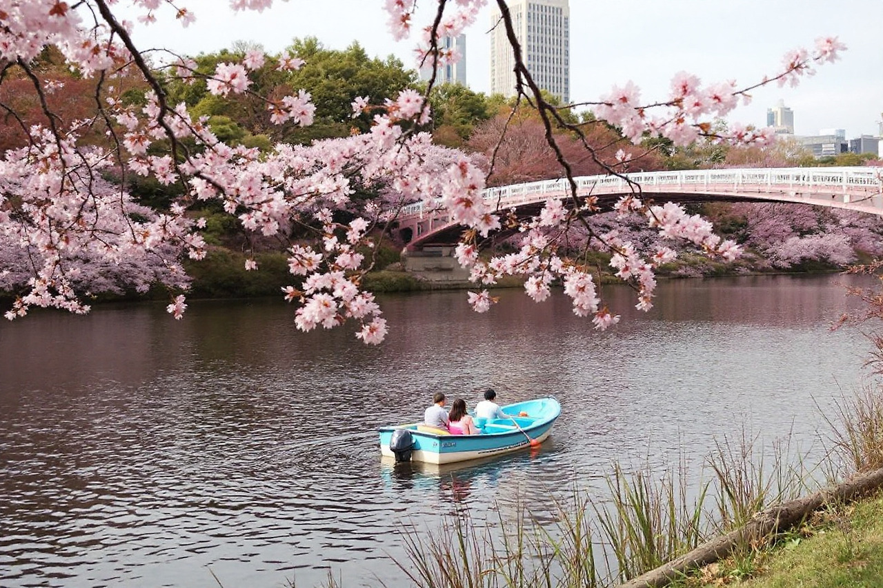 보트체험