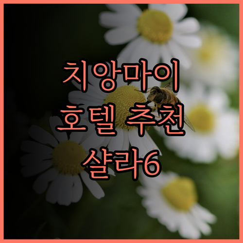 샬라 넘버6 치앙마이 호텔, 완벽한 