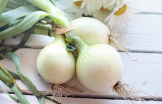 양파장아찌 만들기